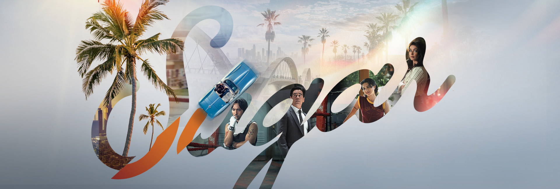 sugar 1920x650 1 1